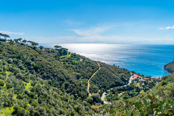 Wall Mural - Coastline of Elba island in springtime