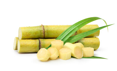 Wall Mural - fresh sugar cane stalks with sliced isolated on white background.