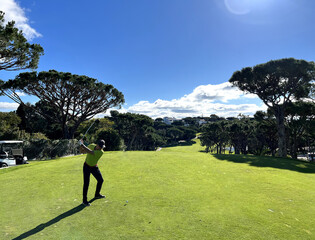 Wall Mural - Professional golfer knocked off tee by driver on golf course