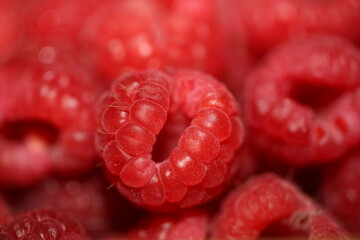 Fresh red cultivated ripe raspberries and currant berries, healthy food texture background angle view macro rubus phoenicolasius family rosaceae big size high quality botanical prints