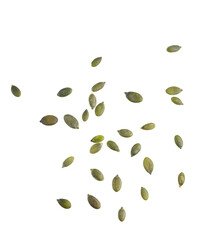 pumpkin seeds falling png