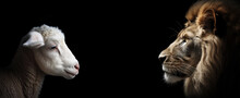 Profile Of Lion And Lamb Isolated On Black Background. AI Generative