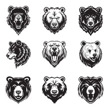 Bear Logo Set - Premium Design Collection - Vector Illustration