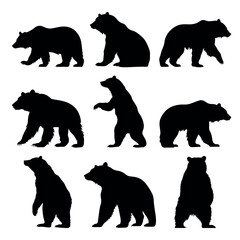 bear silhouette set - isolated vector images of wild animals
