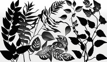  A Black And White Photo Of A Plant With Lots Of Leaves On The Top And Bottom Of The Picture, With A White Back Ground.  Generative Ai