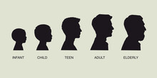The Stages Of A Man's Growing Up - Infant, Child, Teen, Adult, Elderly. Collection Of Silhouettes Of Men Of Different Ages. Vector Illustration