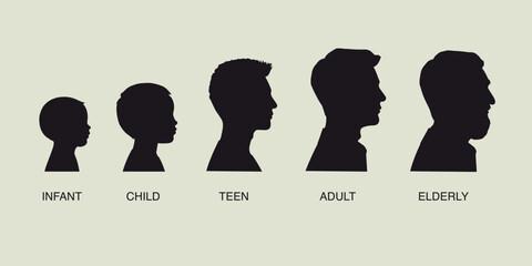 The stages of a man's growing up - infant, child, teen, adult, elderly. Collection of silhouettes of men of different ages. Vector illustration