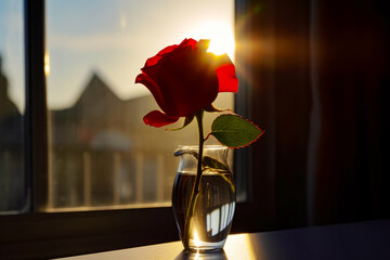 Poster - Single red rose in vase of water on window sill. Generative AI.