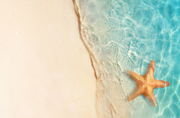 Wall Mural - Starfish on the sand beach in clear sea water. Summer background. Summer time .Copy space. Relaxing on the beach.