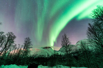 aurora