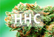 HHC Hexahydrocannabinol is a psychoactive half synthetic cannabinoid
