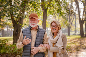 Wall Mural - Cheerful pensioners enjoying their life walking together in the park and talking. Activities for elderly people