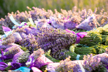 Canvas Print - Bouquets and sachets of fresh lavender tied with ribbons of lilac colour on the table. Seasonal harvesting of plants, scented beautiful flower, bright sunny day