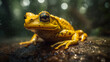 Closeup of a golden poison frog, phyllobates treribills on a log,  Created using generative AI tools.