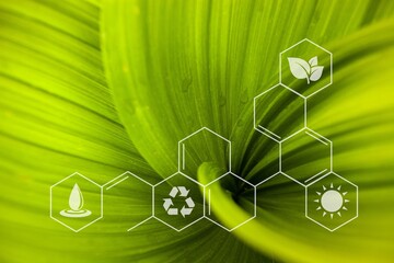Wall Mural - plants background with chemistry structure image