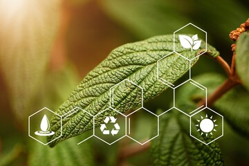 Wall Mural - plants background with chemistry structure image