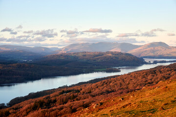 Wall Mural - Birds and atmospheric views of Lake District, the UK, December 2023