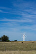 Wind turbines in the field, cows around.