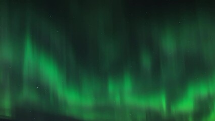 Wall Mural - Aurora Borealis (Northern Lights) with a strong green color covering the star filled night sky. Time Lapse.