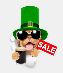 Poster - Saint Patrick's Day concept.Happy mastiff puppy wearing sunglasses and green leprechauns top hat  looks through the hole in white paper, holds mug of dark beer and shows signboard with labeled 