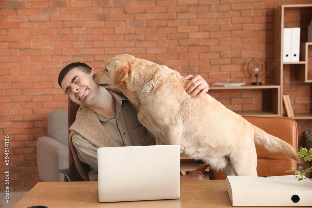 Young man with cute Labrador dog at table in office