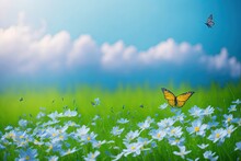 Butterfly On A Meadow