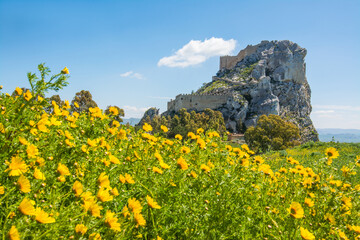 The castle of Mussomeli is a fortress built between the fourteenth and fifteenth centuries, in spring. Caltanissetta, Sicily, Italy.