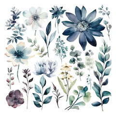 Wall Mural - Set of watercolor flowers leaves and twigs on a white background