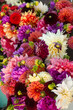 Dahlia flowers with different colours and sizes in one bouquet