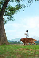 Poster - Golden retriever and owner walking outdoors