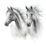 Fototapeta Konie - Couple of beautiful white horses isolated on white background. Generative AI. High quality photo