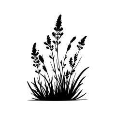 Lavender - Black and White Isolated Icon - Vector illustration