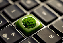 Computer Keyboard With Green Leaf