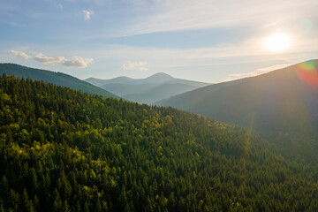 Sticker - Aerial view of foggy evening over high peaks with dark pine forest trees at bright sunset. Amazing scenery of wild mountain woodland at dusk