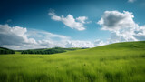 Fototapeta Na ścianę - landscape with grass and sky