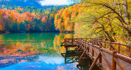 Poster - Autumn forest landscape reflection on the water with - Autumn landscape in (seven lakes) National park of  Yedigoller, Bolu 