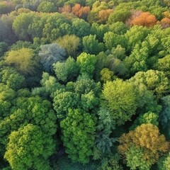 Canvas Print - the earth's green forest Save Earth by demonstrating the principle of conserving the top ecology and natural environment.. generative ai