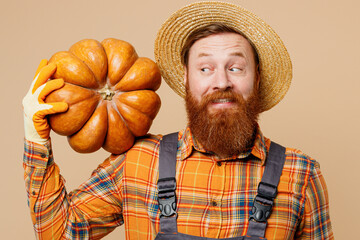 Close up happy smiling young bearded man wears straw hat overalls work in garden hold pumpkin on shoulder isolated on plain pastel light beige color background studio portrait. Plant caring concept.