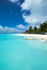 Canvas Print - beautiful beach and tropical sea