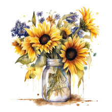 Bouquet Of Sunflowers In A Jar. Watercolor Illustration.