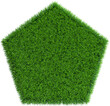 Patch of grass in form of pentagon.3D rendering illustration. 