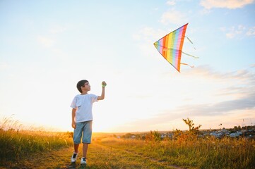 Wall Mural - Children launch a kite in the field at sunset.