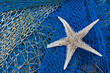 Caught in Beauty: The Starfish's Serenity in a Fisherman's Net
