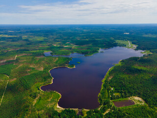 Fishfarming lake in the forest, bird view. Beautiful landscape of Ukrainian Polesia. 