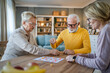 © Miljan Živković - Group of people senior man and women play leisure board game at home