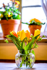 Wall Mural - flowers at an old window