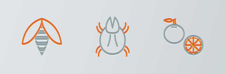 Wall Mural - Set line Orange fruit, Bee and Parasite mite icon. Vector