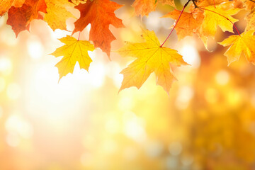 beautiful maple leaves in autumn sunny day in foreground and blurry background. generative ai.