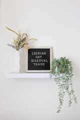lesbian gay bisexual trans lettering on a black and tan letter board sitting on a floating shelf with plants. modern home decor lgbt ally support