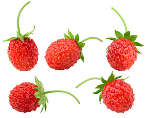 wild strawberry isolated on white background, full depth of field